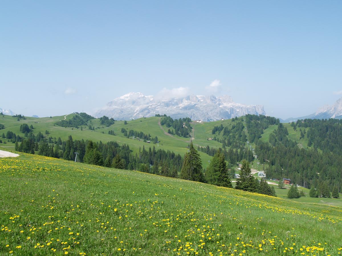 Residence Vajolet San Cassiano Exteriör bild